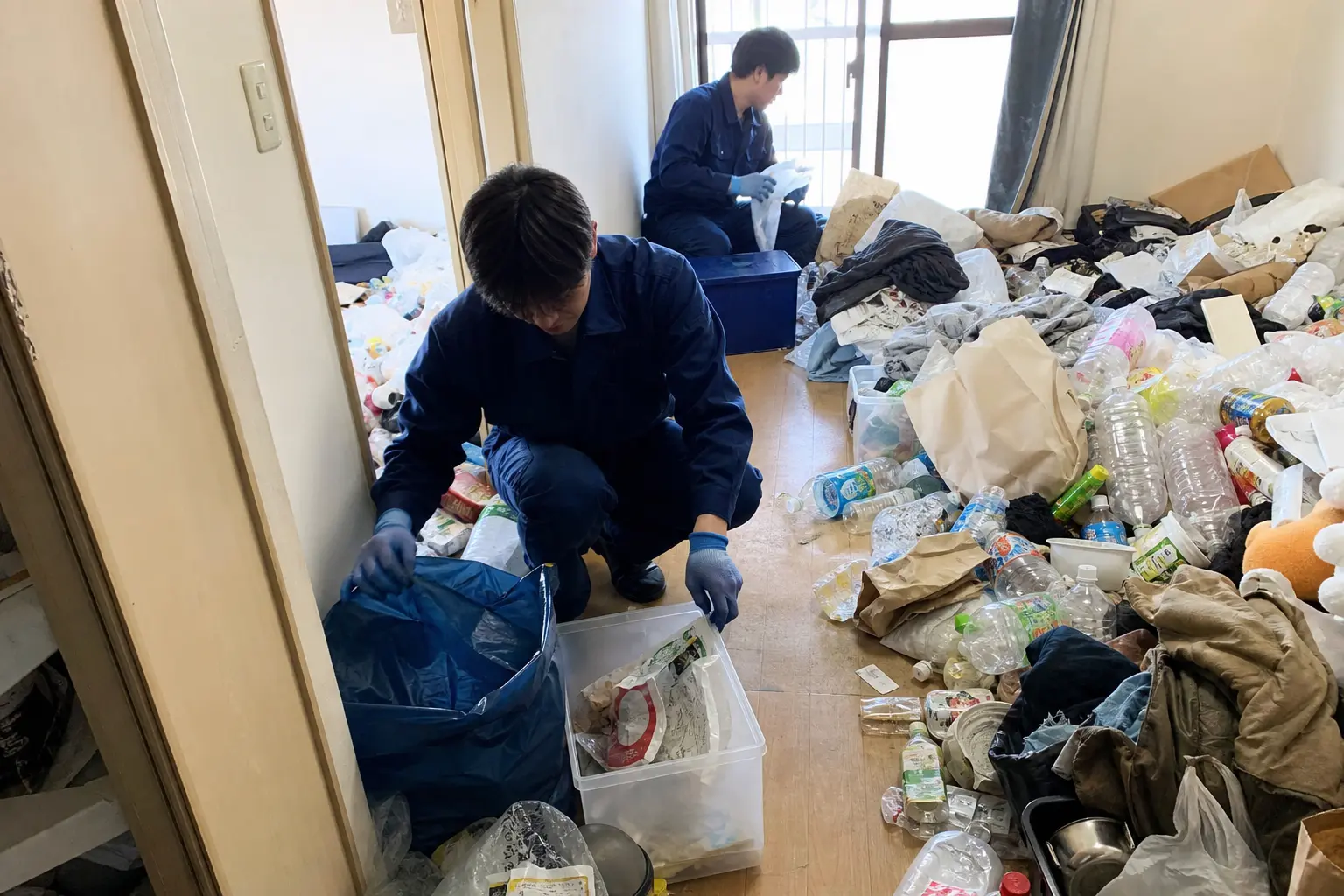 サンプル